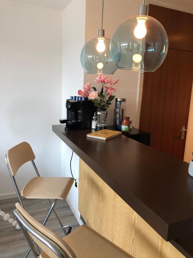 Grosses Appartement Mit Aussichtsbalkon Ludwigsburg Luaran gambar